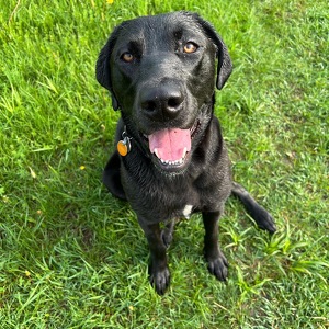 Fundraising Page: Kristin Dearborn